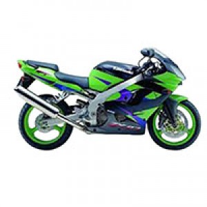 Best 2002-2003 Kawasaki ZX9R Fairings UK