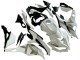 2019-2025 Kawasaki ZX25R ZX-25R Motorcycle Fairings - White Silver Green Black Trick Star UK