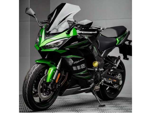 2020-2025 Kawasaki Z1000SX Motorcycle Fairing - Black Green Ninja UK