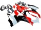 2020-2024 Ducati Panigale V2 Motorcycle Fairing Kits - White Red Glossy Black UK