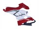 2020-2021 Ducati Panigale V4 V4S Motorcycle Fairings - White Red Green Matte Black UK