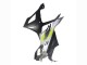 2023-2024 BMW S1000RR Motorcycle Fairings - Silver Matte Black Lime Green UK
