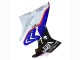 2017-2018 BMW S1000RR Bike Fairings - White Blue Red Glossy Black UK