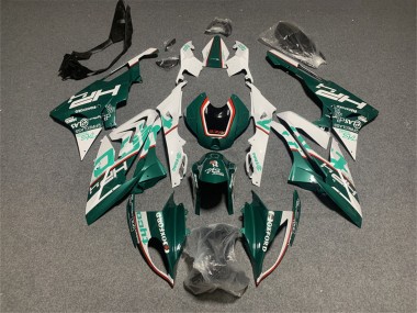 Best 2017-2018 BMW S1000RR Motorcycle Fairings - White Green UK