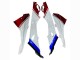 2015-2016 BMW S1000RR Bike Fairings - White Red Blue Black UK