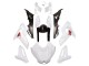 2014-2016 BMW S1000R Motorcycle Fairings - White UK