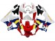 1998-1999 Honda CBR900RR 919 Motorcycle Fairings - White Red Yellow Blue UK