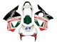 2002-2003 Honda CBR900RR 954 Motorcycle Fairings - White Red Green Glossy Black Castrol UK