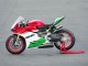 2015-2020 Ducati 1299 Motorcycle Fairings - White Red Green Matte Black UK