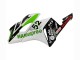 2004-2005 Honda CBR1000RR Motorcycle Fairings - White Green Glossy Black Hannspree 52 UK