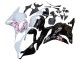 2009-2012 Honda CBR600RR Motorcycle Fairings - White Cherry Blossom Glossy Black UK