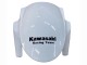 2011-2015 Kawasaki ZX10R Motorcycle Fairings - White Green Stripe Black Ninja UK