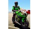 2011-2015 Kawasaki ZX10R Motorcycle Fairings - Green Yellow White Black Red Pirelli UK