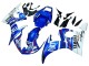 2005 Yamaha YZF 600 R6 Motorcycle Fairings - Blue White Red Motul Michelin Fiat UK