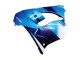 2000-2001 Kawasaki ZX9R Motorcycle Fairings - Blue Black UK